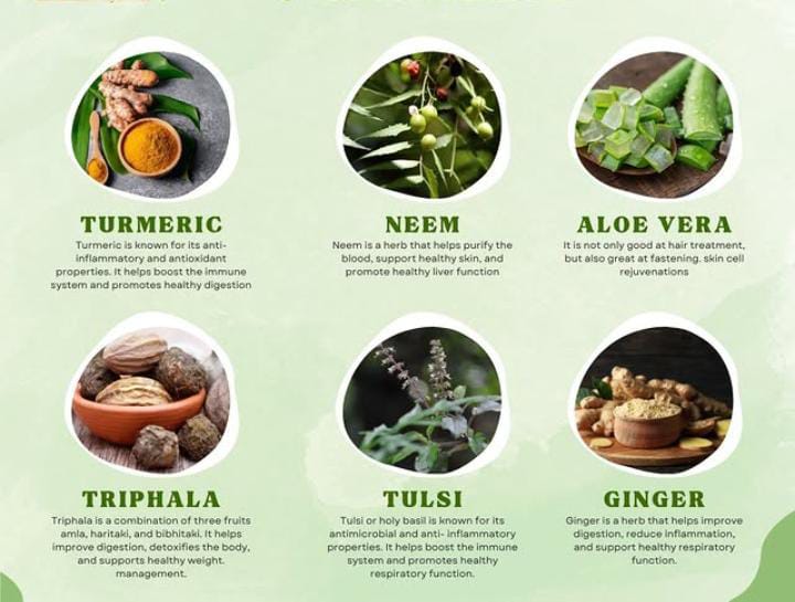 Slim Fit Fat Reducer 3